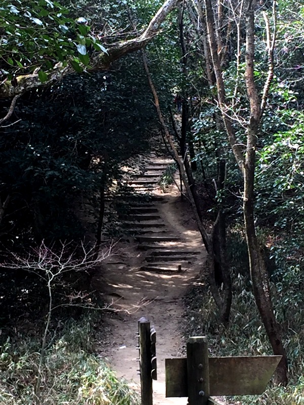 b0057140_17422564.jpg