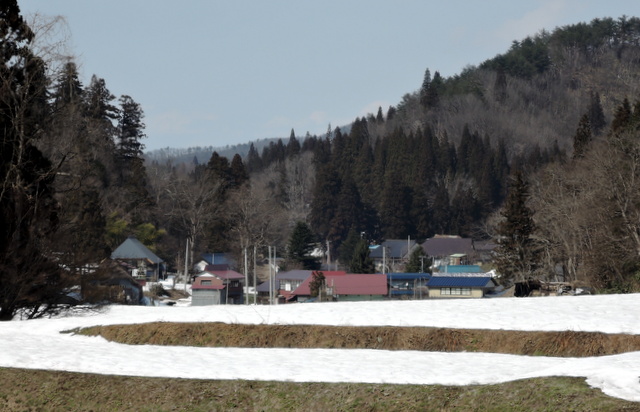 b0075140_22324494.jpg