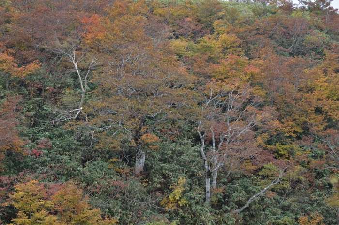 a0263952_2245234.jpg