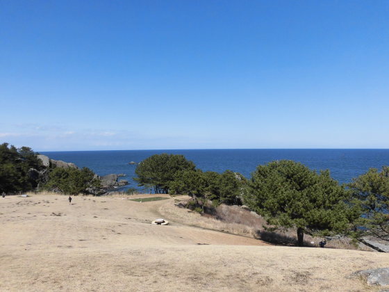 c0324959_18533497.jpg