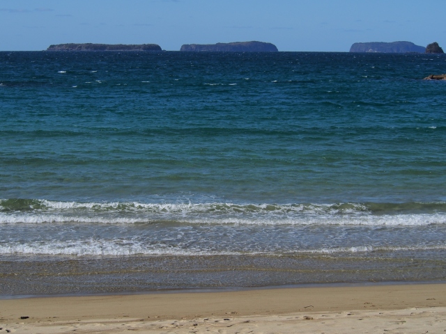 d0177570_18501651.jpg