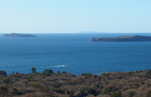 d0177570_18512360.jpg