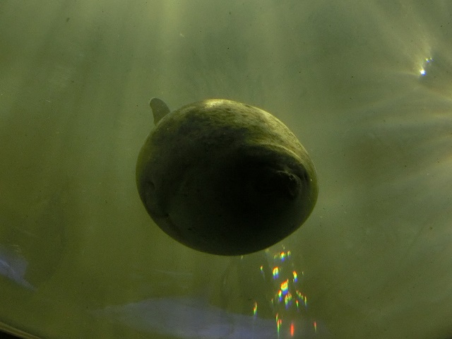 d0147774_2232256.jpg