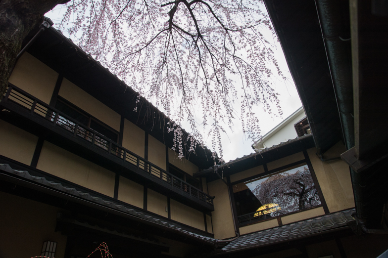 a0301676_19554368.jpg