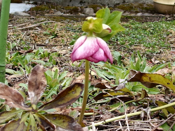 a0347276_09472987.jpg