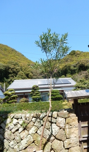 f0054677_06570625.jpg