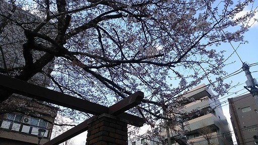 e0020682_1745789.jpg