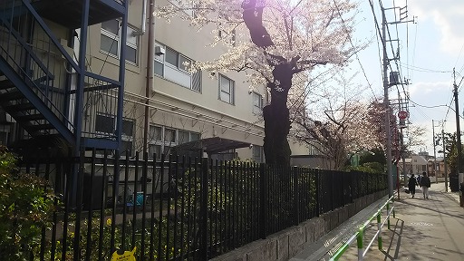 e0020682_17515174.jpg