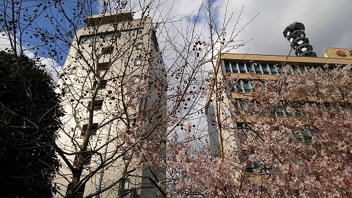 e0020682_19595365.jpg