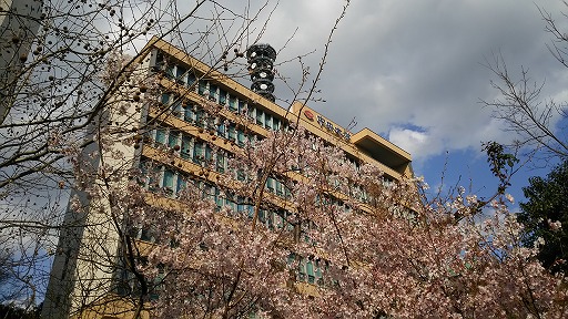 e0020682_2005694.jpg