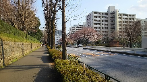 e0020682_201533100.jpg