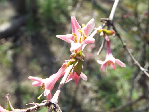e0145782_1413567.jpg