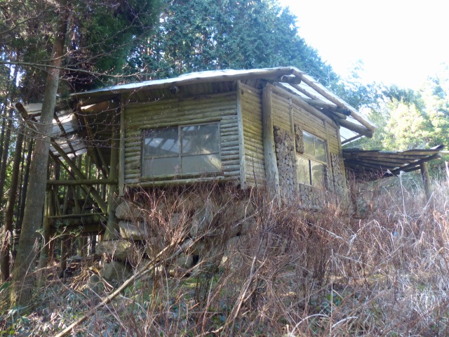 f0357487_1319445.jpg