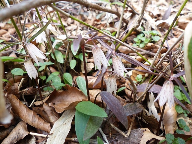 f0357487_1421432.jpg