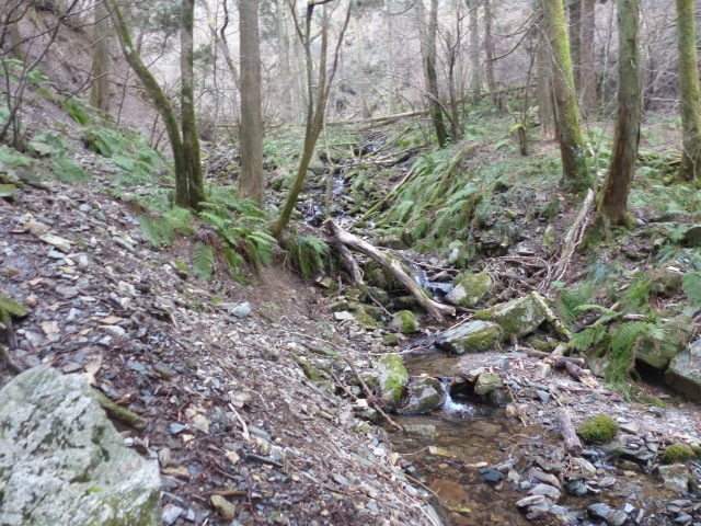 f0357487_19571048.jpg