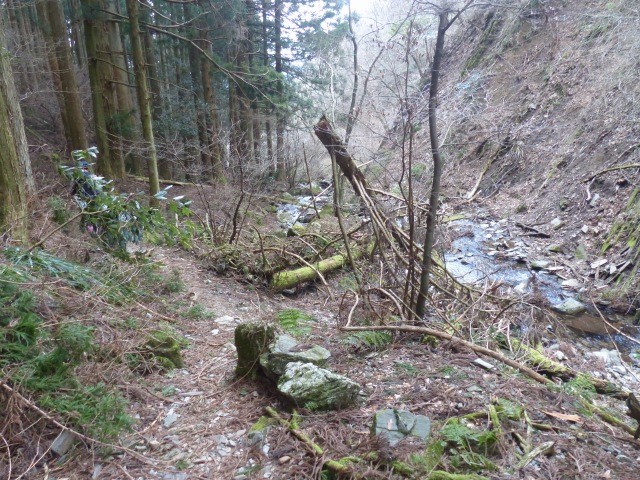 f0357487_19581314.jpg