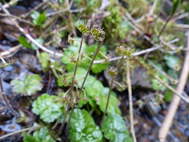 f0357487_20135.jpg