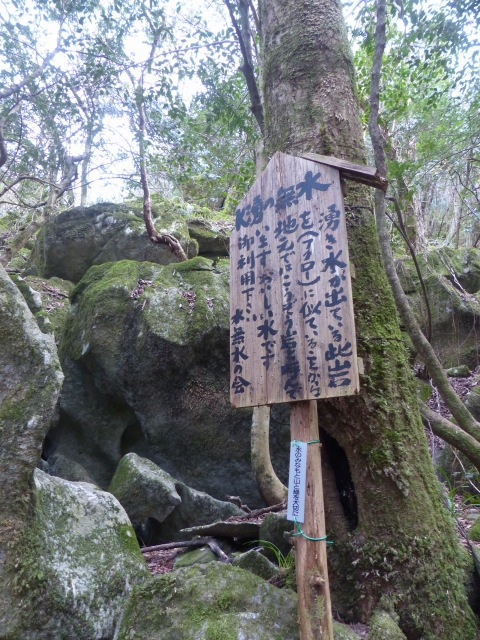 f0357487_2018377.jpg