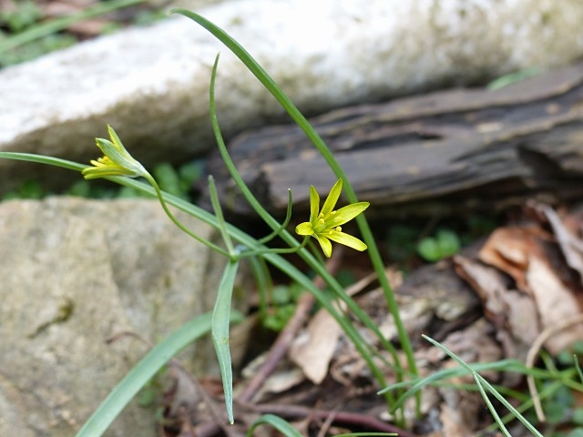 f0357487_2020251.jpg
