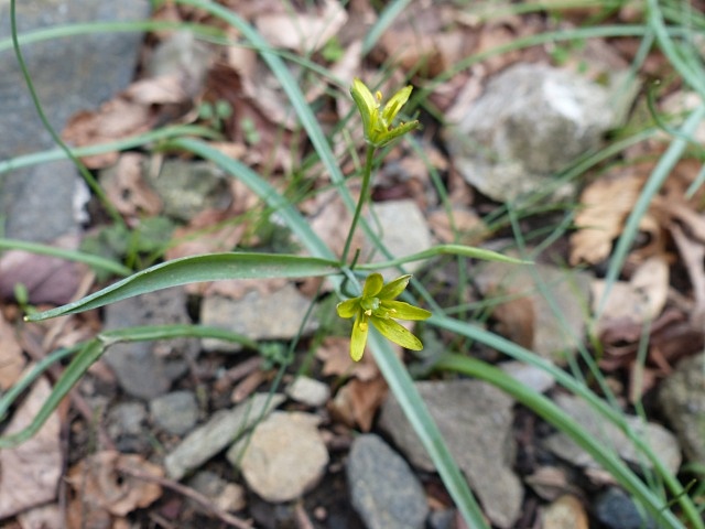 f0357487_20232434.jpg