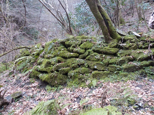 f0357487_20241253.jpg