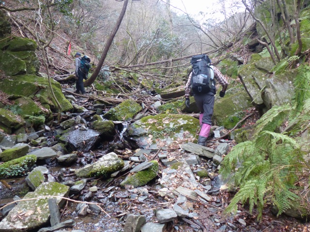 f0357487_20251194.jpg