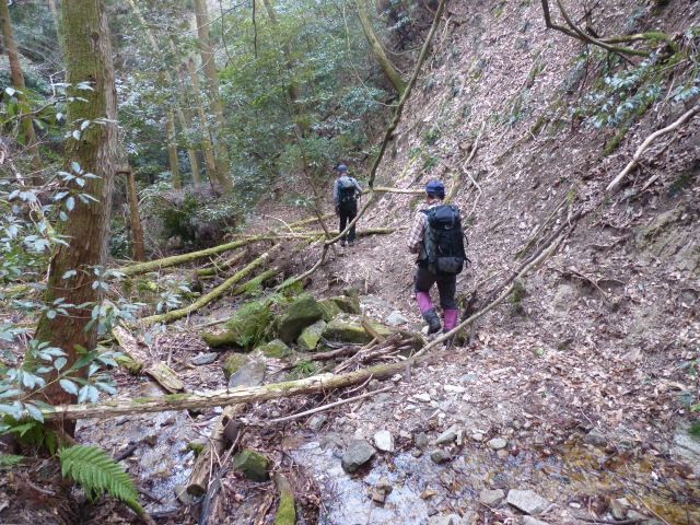 f0357487_20283292.jpg