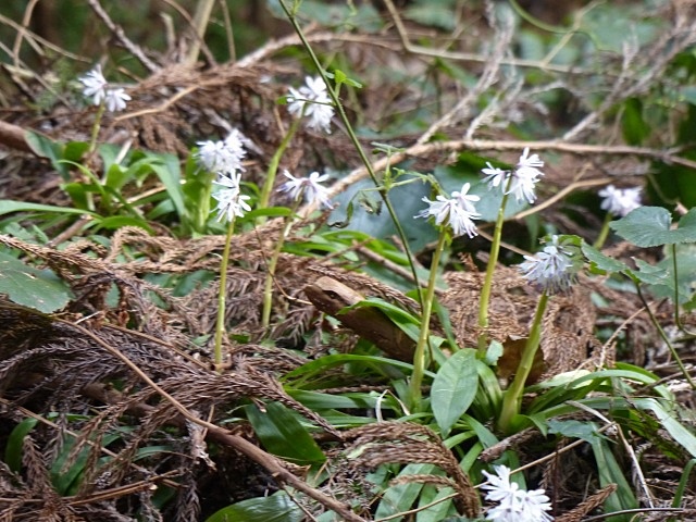 f0357487_2029397.jpg