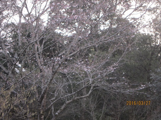 f0106692_18153019.jpg
