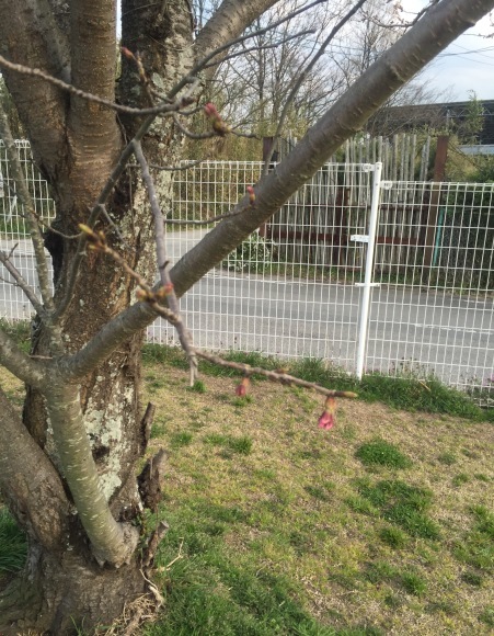 b0188998_00003362.jpeg
