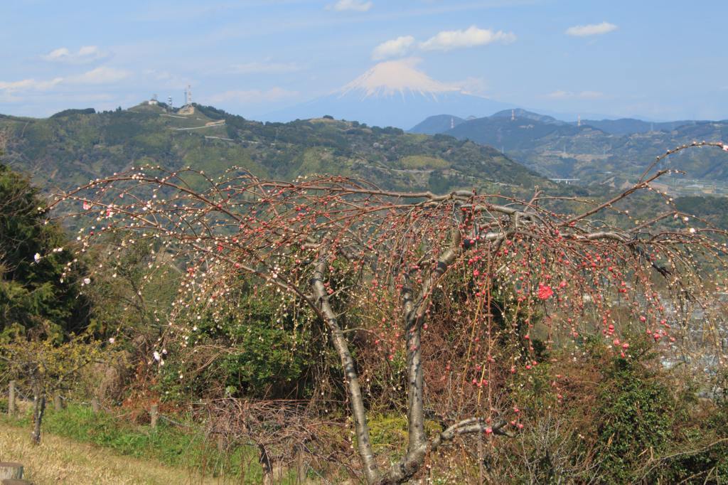 a0188405_14585341.jpg