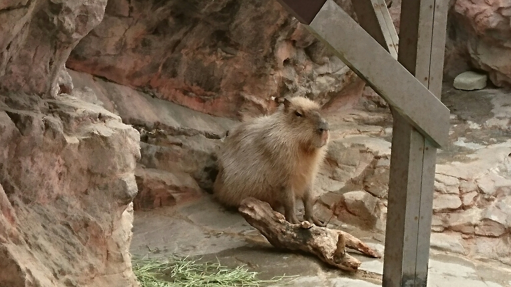 f0182618_01094075.jpg