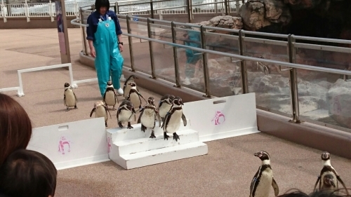 f0182618_01094340.jpg