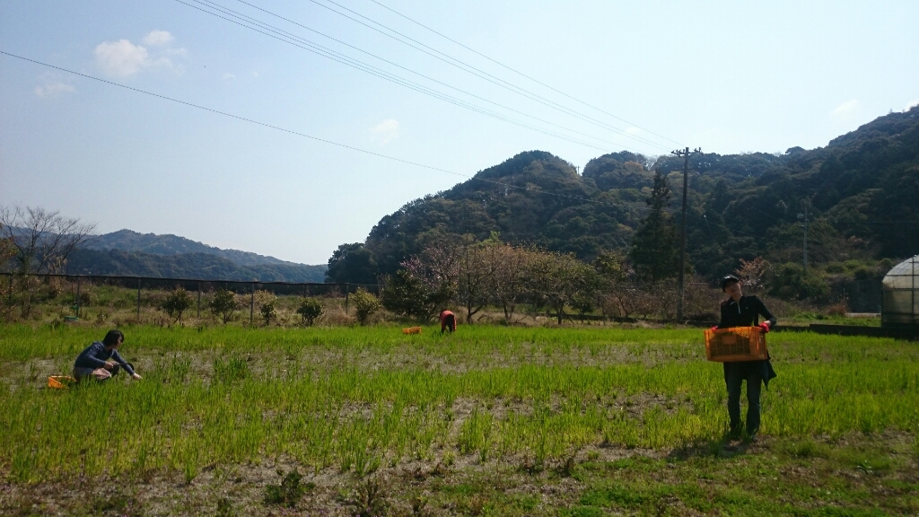 b0187620_20492764.jpg