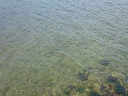b0259124_22152060.jpg