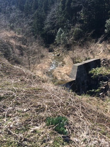 e0147226_21155006.jpeg
