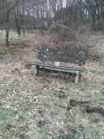 f0114128_16233411.jpg