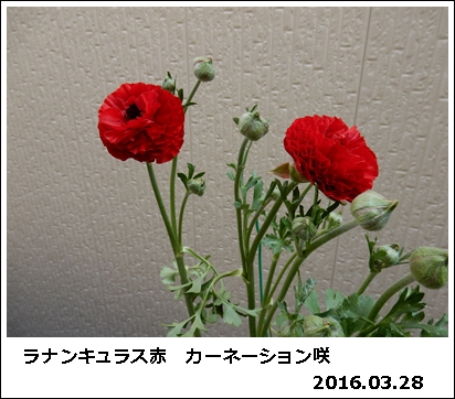 e0033229_18292711.jpg