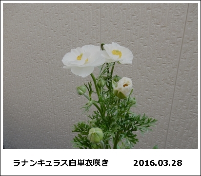 e0033229_18302395.jpg