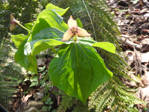 f0118332_0191679.jpg