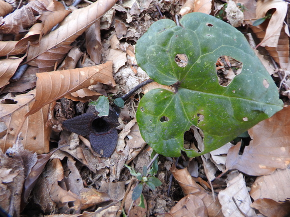 f0118332_01947100.jpg
