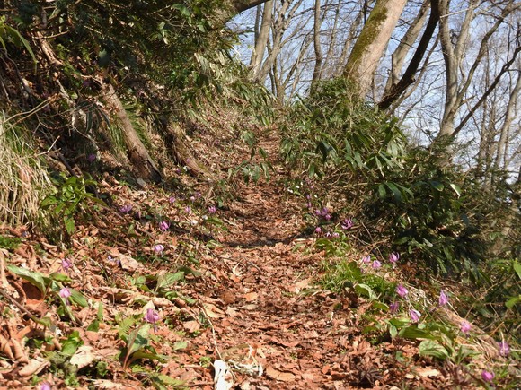 f0118332_0201914.jpg