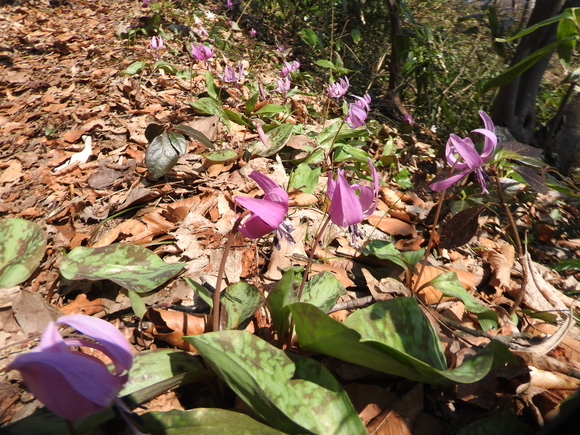 f0118332_0203318.jpg