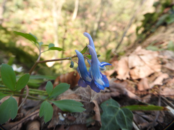 f0118332_020419.jpg