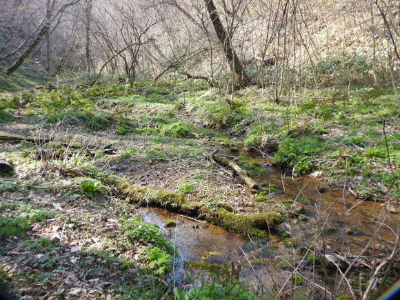 f0118332_022139.jpg