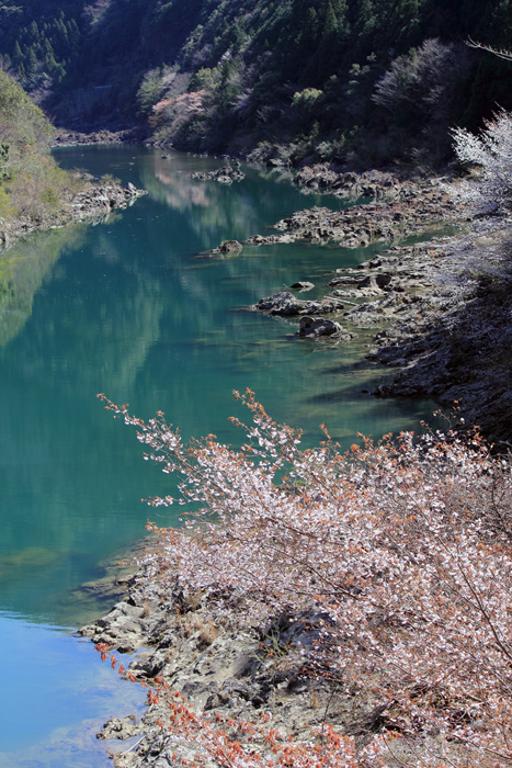 e0083238_2217231.jpg