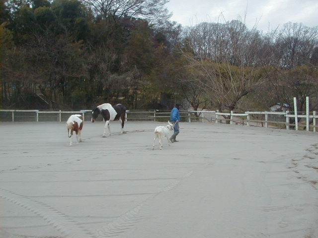 a0305943_21131777.jpg