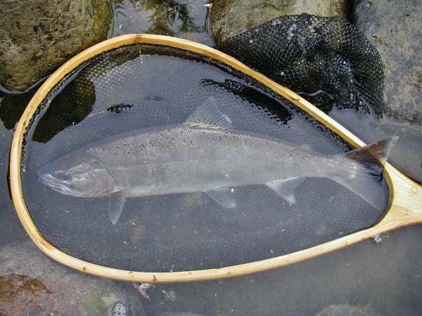 f0212059_23264682.jpg