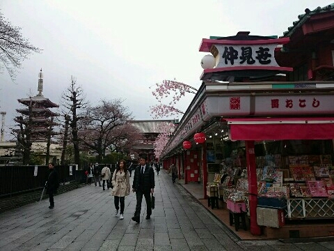 a0331562_09573636.jpg
