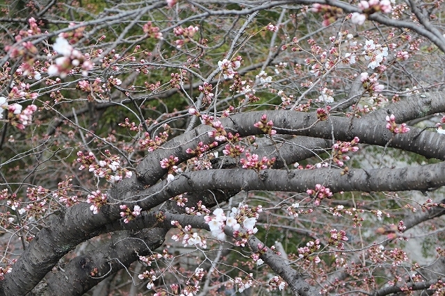 b0044663_13183928.jpg